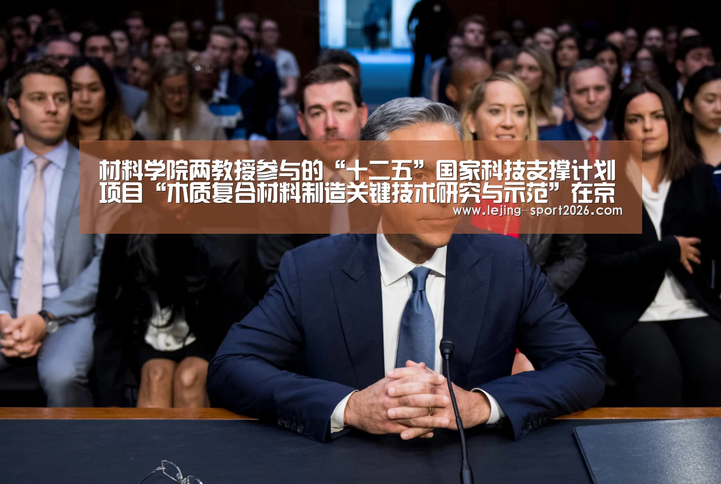 材料学院两教授参与的“十二五”国家科技支撑计划项目“木质复合材料制造关键技术研究与示范”在京顺利通过课题验收:乐竞体育官网入口(图3) 乐竞体育官网